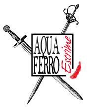 Aqua Ferro Escrime